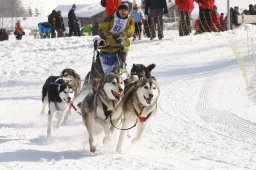 Lenk 2012 SM